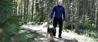 Kroppsdelen i skogen – identiteten fastställd: Polisens svar om varför mordutredningen fortsätter