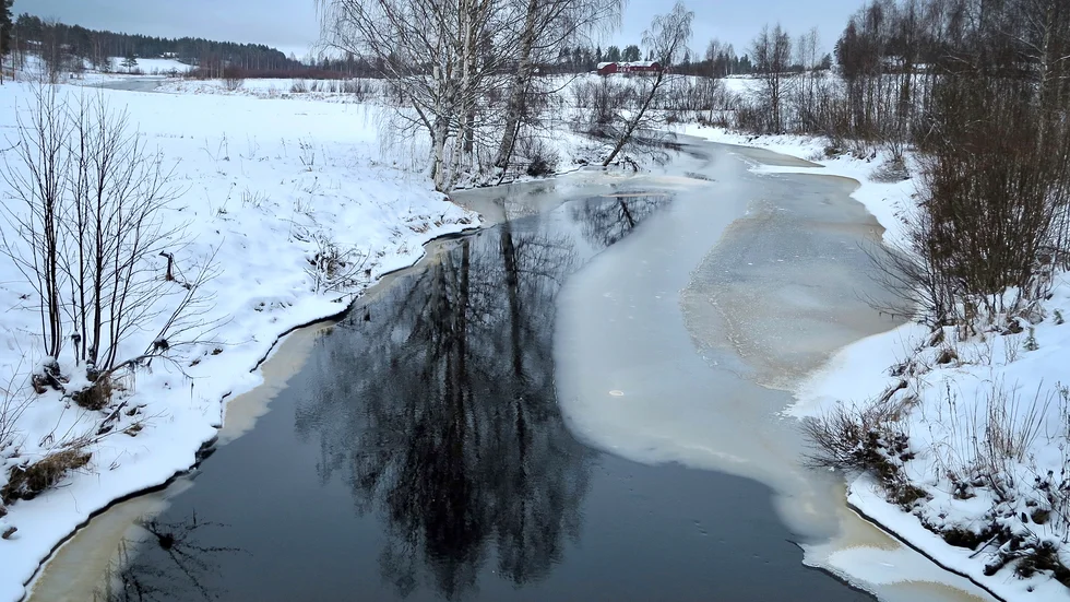Alterälven sett från bron efter Överfartsvägen i Nybyn.