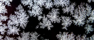 Halva Sverige får en vit jul