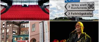 Kulturfientligt virus präglade 2020
