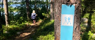 Skellefteåförslag vill se utomhusaktiviteter: "Jättekul