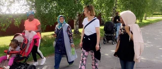 De går för innanförskap         