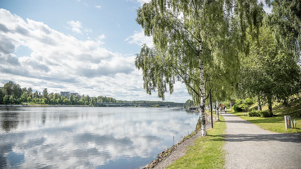Strandpromenaden i Skellefteå. Skribenten tycker dock att den, och vi, skulle må bättre av ett vildare och mer ovårdat intryck.