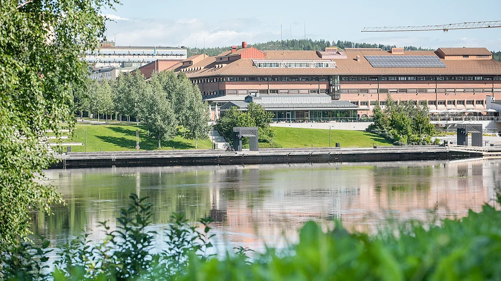 Genrebild Skellefteå. Under torsdagen kom ett glädjande beslut om restriktionerna i Skellefteälven, till följd av kräftpesten. I sommar kommer man kunna åka båt och fiska längs älven i centrala Skellefteå.
