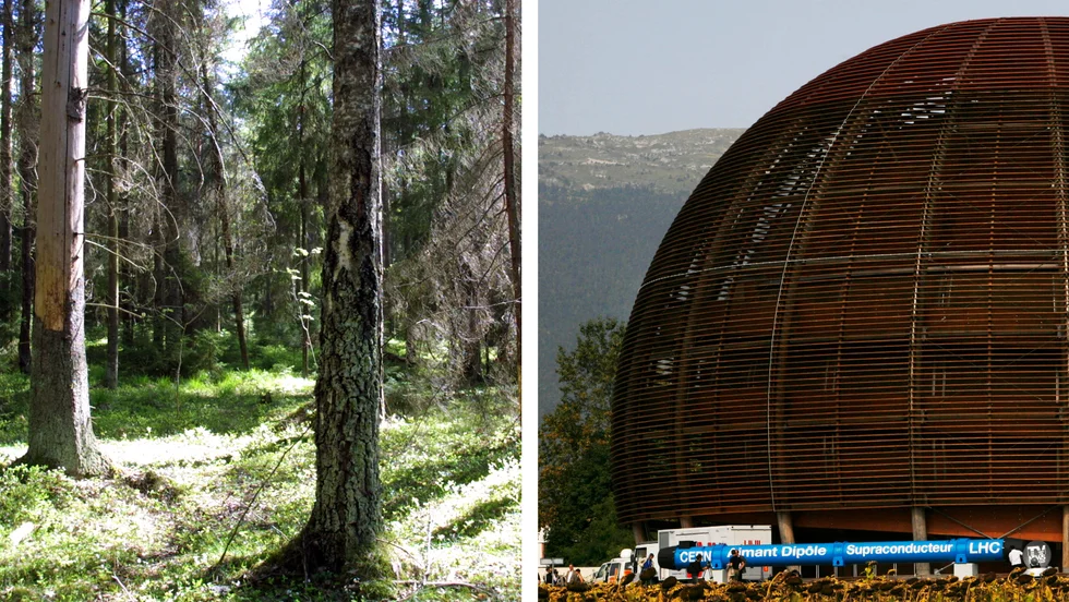 På 1970-talet var forskningsanläggningen Cern tänkt att hamna i Lunsen, skriver Hans Norman