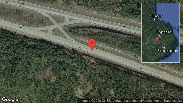 Rådjur på vägen på E18