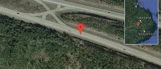 Rådjur på vägen på E18