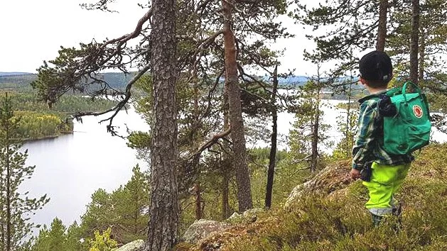 Landsbygdsminister Jennie Nilsson medverkar på den regionala skogskonferensen "Skogen – tillväxt, miljö och framtid" den 30 september. 