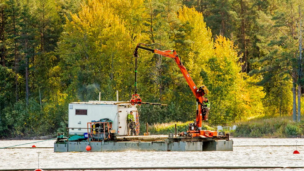 Timmer plockas upp från botten för att de ska kunna få bort giftigt kvicksilver på botten.