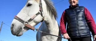 Ridklubben hoppas skapa ny tradition i Haparanda
