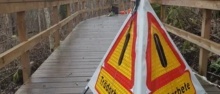 Kommunen kapar träd – stänger område under tisdagen