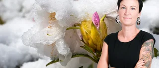 Sandra Lindström: Förlora inte hoppet