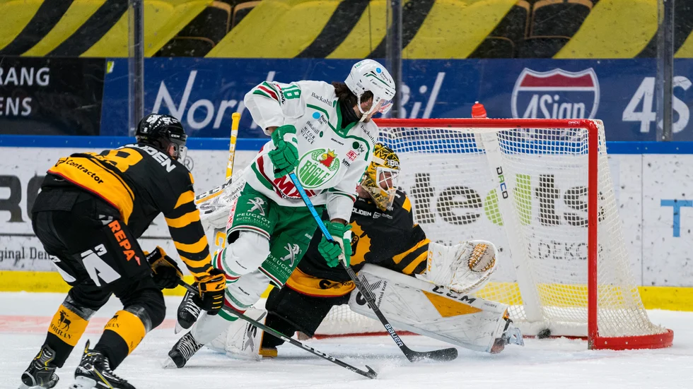 Rögle gick vinnande ur lördagens drabbning i Skellefteå Kraft arena efter ett avgörande mål i slutminuterna.