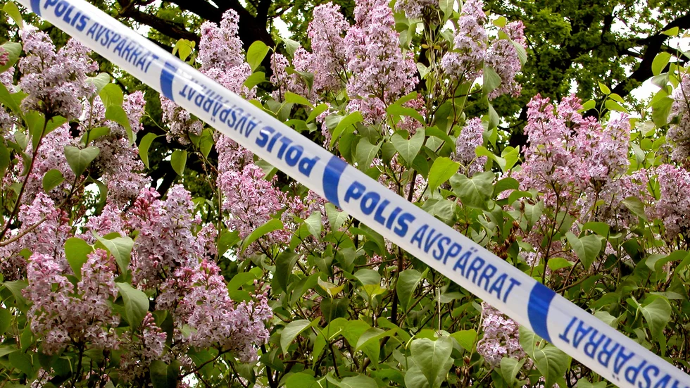 Bilden är ett montage.