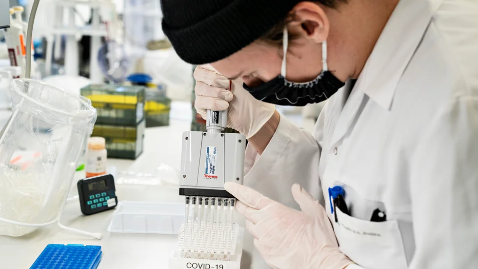 Forskare vid Ålborgs universitet i Danmark analyserar positiva coronatester för att spåra virusvarianter. Arkivbild