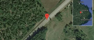 Rådjur på vägen på väg 55