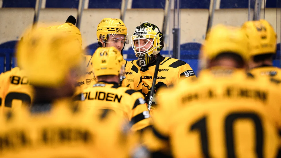 Arvid Söderblom vaktar AIK-målet mot Brynäs.