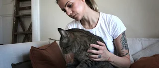 Katten Börje kom hem efter över ett år