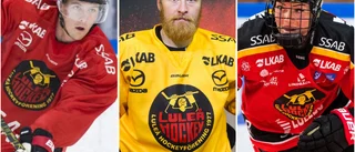 Luleåstjärnorna säger sitt i publikfrågan