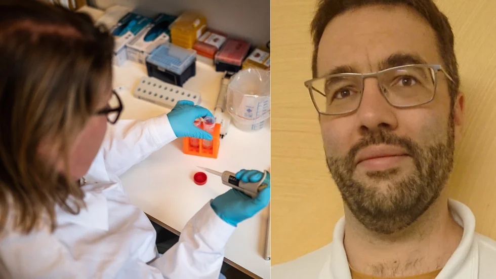 Sara Mangsbo är biträdande lektor i antikroppsläkemedel vid Uppsala universitet. Emil Ekbom är doktorand vid institutionen för medicinska vetenskaper vid Uppsala universitet samt läkare på sektionen för lung- och allergisjukdomar på Akademiska sjukhuset.