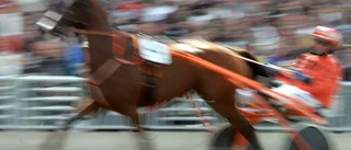 Länsstyrelsen anmäler misstänkt djurplågeri