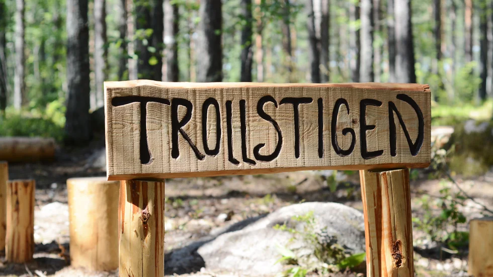 En inringare tipsade polisen om en ungdomsfest. Polisen fick i sin tur ringa räddningstjänsten för att släcka de brinnande timmerstockarna vid naturreservatet. 