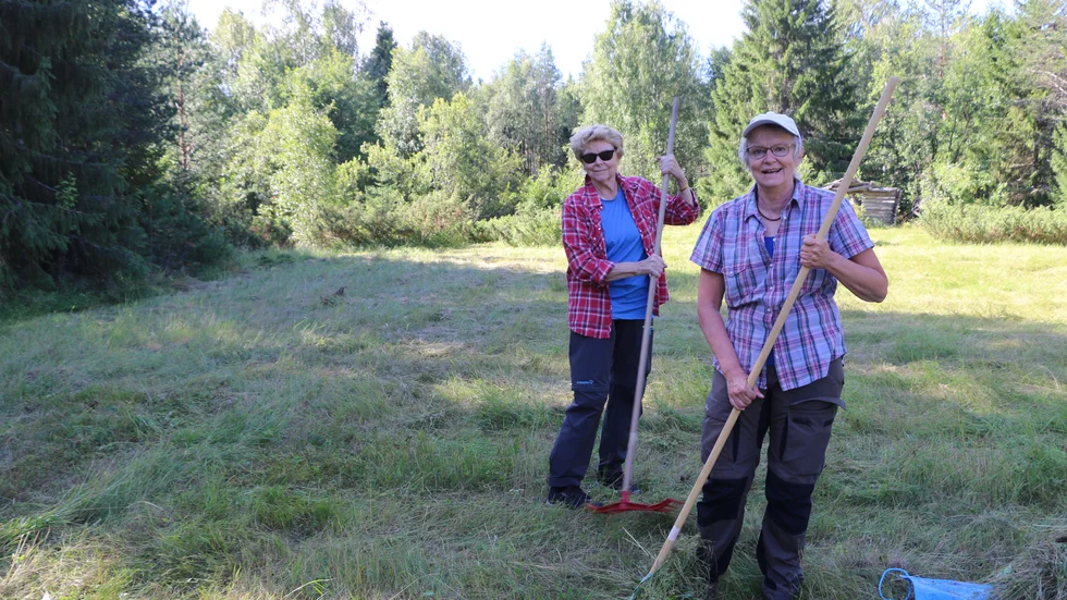 Karin Burman och Britt-Marie Jonsson från Piteå minns barndomens höhässjningar. "Det är jätteroligt, man blir riktigt nostalgisk", konstaterar de.