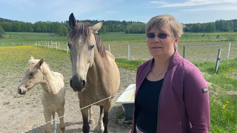 Ann Holmqvist, som är ridskolechef på Ekelund utanför Mariefred, är uppgiven efter det senaste inbrottet. Nog verkar Thaleia och minstingen Ekelunds Lillemor se lite molokna ut också.