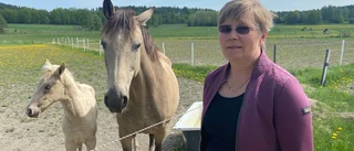 Sadeltjuvar har slagit till igen – nu i Mariefred
