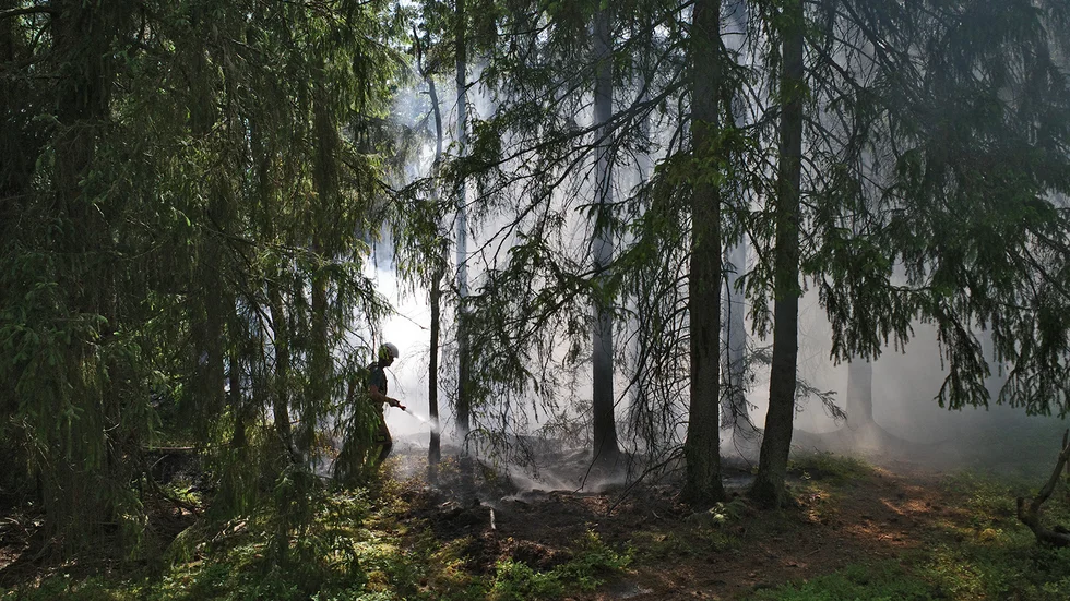 Skogsbrand utanför Borensberg. 
