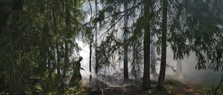 Skogsbrand bekämpades utanför Borensberg