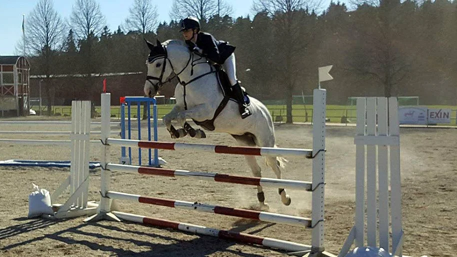 Felfri. Gabriella Ivedal på Loruna var felfri alla fyra deltävlingar.