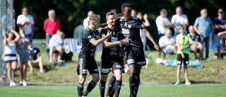 Spelarbetyg Fanna
