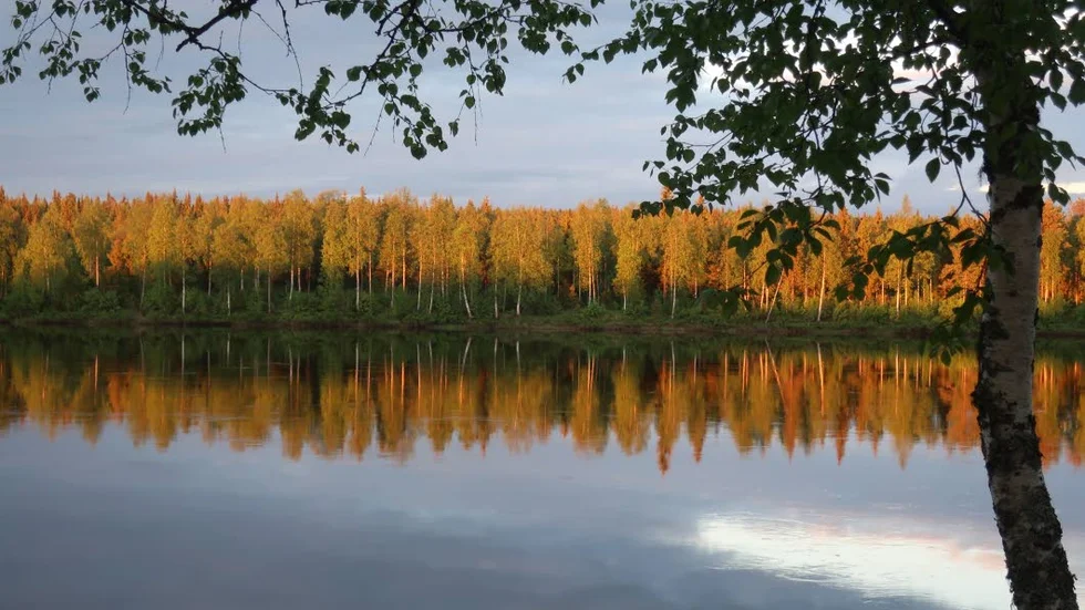 Älvklart. Muonio älv när den passerar Pajala. Älven utgör en gräns mellan riken och mellan land och vatten. Muonio älv är Europas längsta obundna laxälv men lårets laxfiskesäsong är över. Varken fiskare eller fiskar var synliga när bilden togs. Foto: Marita Holmvall, Boden.