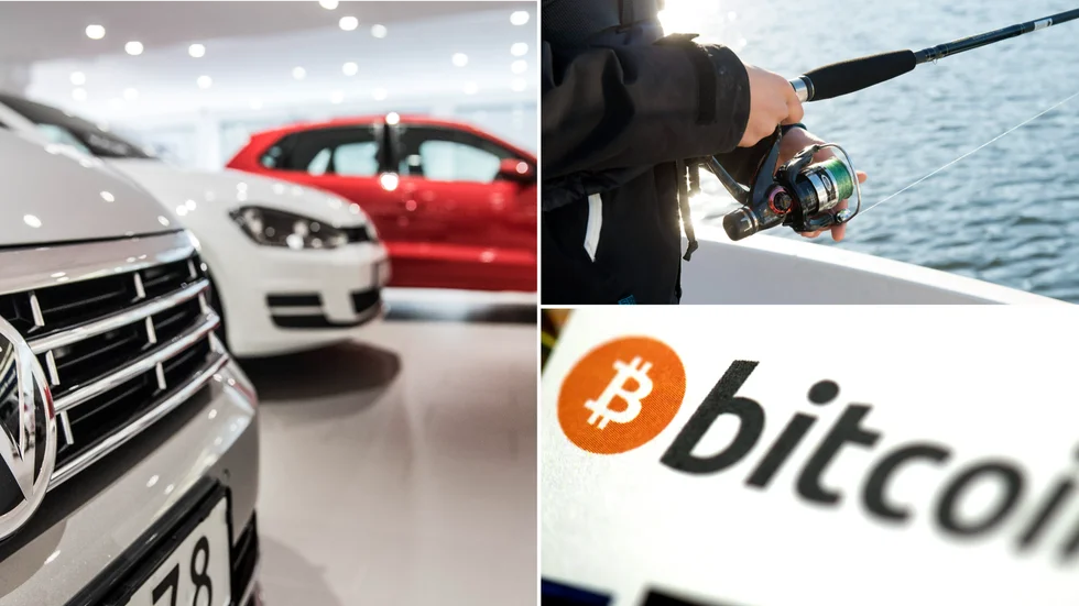 Bilförsäljning, fiske och kryptosäkerhet är några områden som nystartade bolag ska verka inom. 