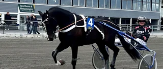 Travdags – här är våra bästa spel inför torsdagskvällen