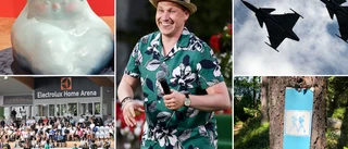 Guide: 10 things to do in Skellefteå in the next 7 days