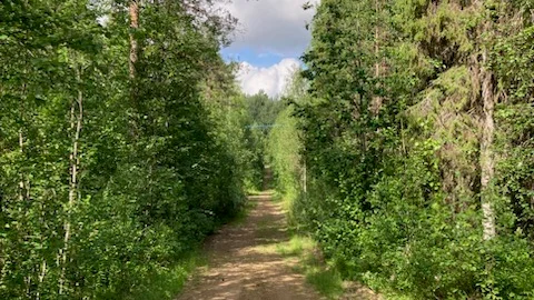 Tidens gång har satt sina spår, skriver Inger Keskitalo som skickat in den här bilden från Vähavaara, Teurajärvi.
