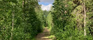 Läsarbild: Tidens gång har satt sina spår