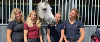 Medaljlöst för Piteå i Falsterbo: "Revanschsugna"