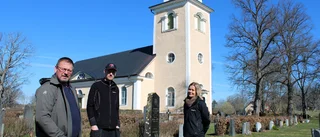 Därför ska 36 träd sågas ner på kyrkogård