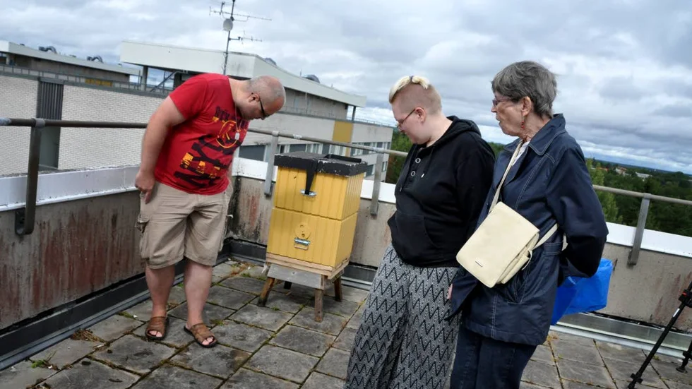 Oväntad granne. Jesper Thorell, Annelie Larsson och Anita Stjernberg blev förvånade när det började svärma bin runt fönstren och på balkongerna.