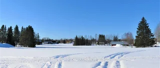 Morgonpromenad i full sol
