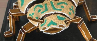 Pepparkaksbygge blev en bagge
