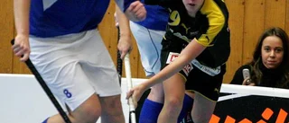 Mirja och Ia bakom Linköpings succé