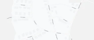 Ny ägare tar över 50-talshus i Karlholmsbruk