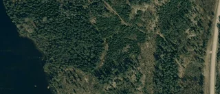 Ny ägare till fastighet i Västerviks kommun