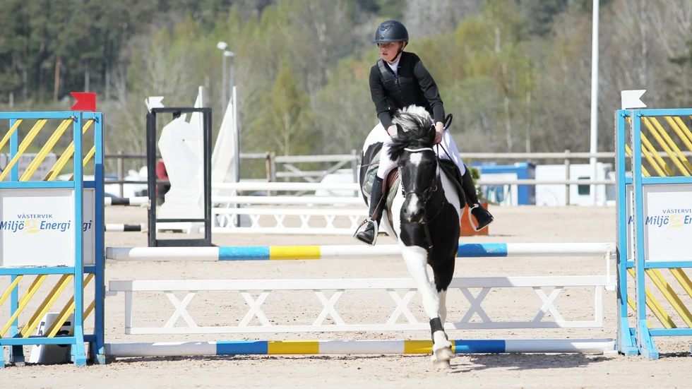 VORF:s Ebba Törnkvist hoppade Lätt C med ridskoleponnyn Mr Ernie och var nöjd med hans debut.