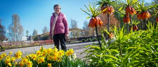 Efterlängtade beskedet – då kan sommaren komma hit
