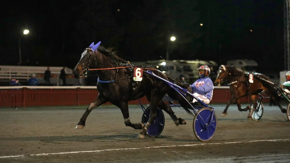 Fyrfaks (Jens Eriksson) vann fyra raka lopp i vintras innan en galopp förstörde sviten. Nu gör han comeback på hemmaplan i Skellefteå under måndagens lunchtävlingar. 
